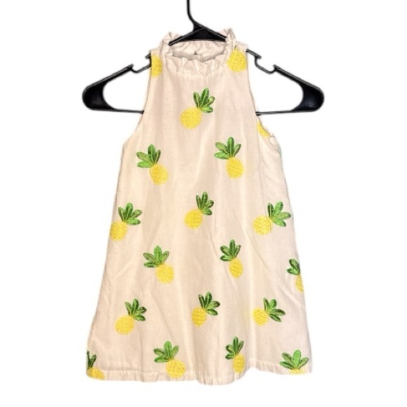 Janie and Jack Other - Janie & Jack Embroidered Pineapple Dress size 5